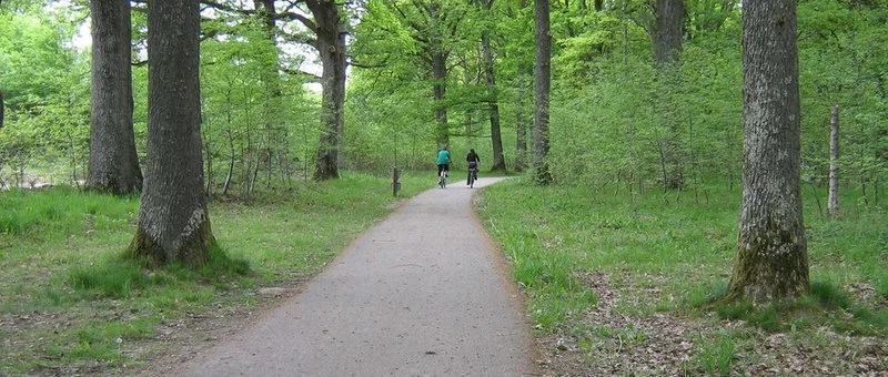 La piste Cyclable · La piste cyclable traverse la forêt