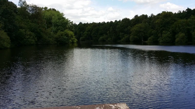 Etang du gruyer